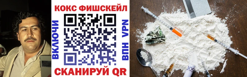 Cocaine FishScale где продают Аргун