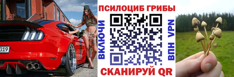blacksprut tor  купить наркотики сайты  Аргун  Галлюциногенные грибы прущие грибы 