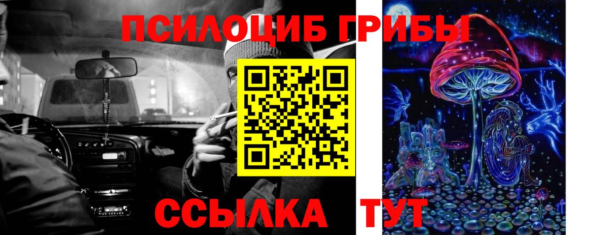 Аргун  где продают наркотики  Вход с VPN  Псилоцибиновые грибы Cubensis  Псилоцибиновые грибы Psilocybine cubensis 